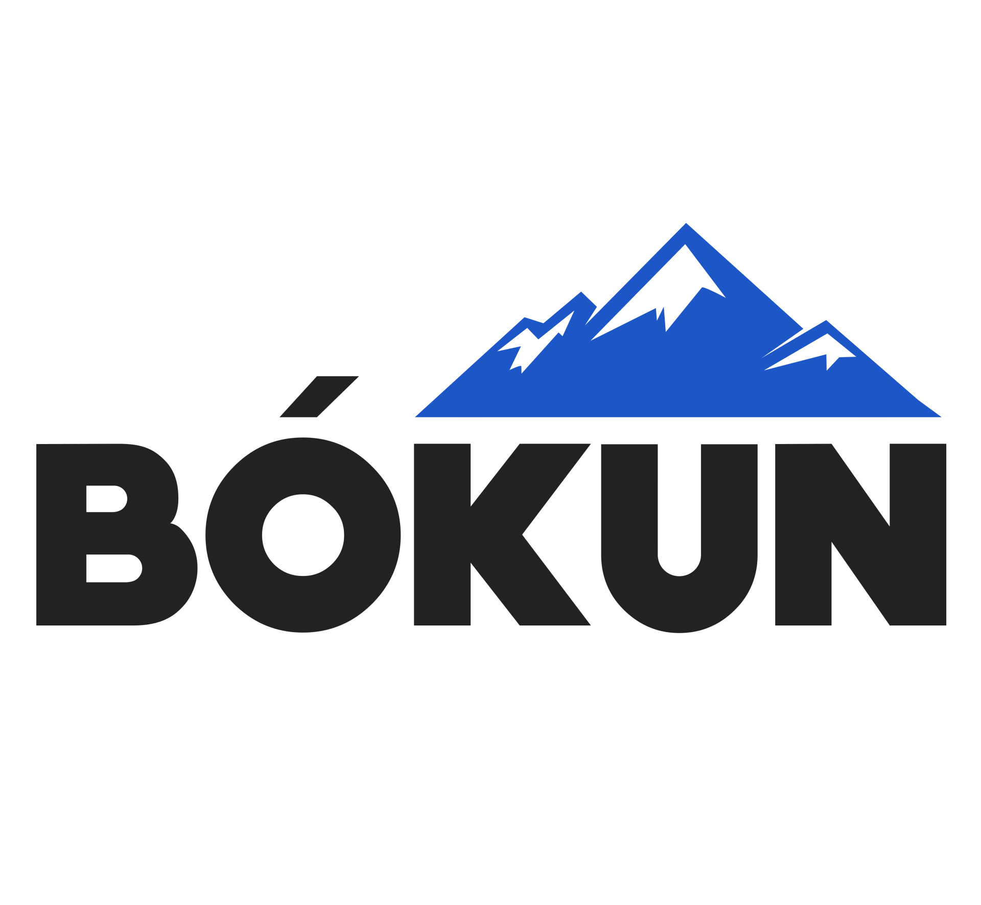 Bokun Booking Platform